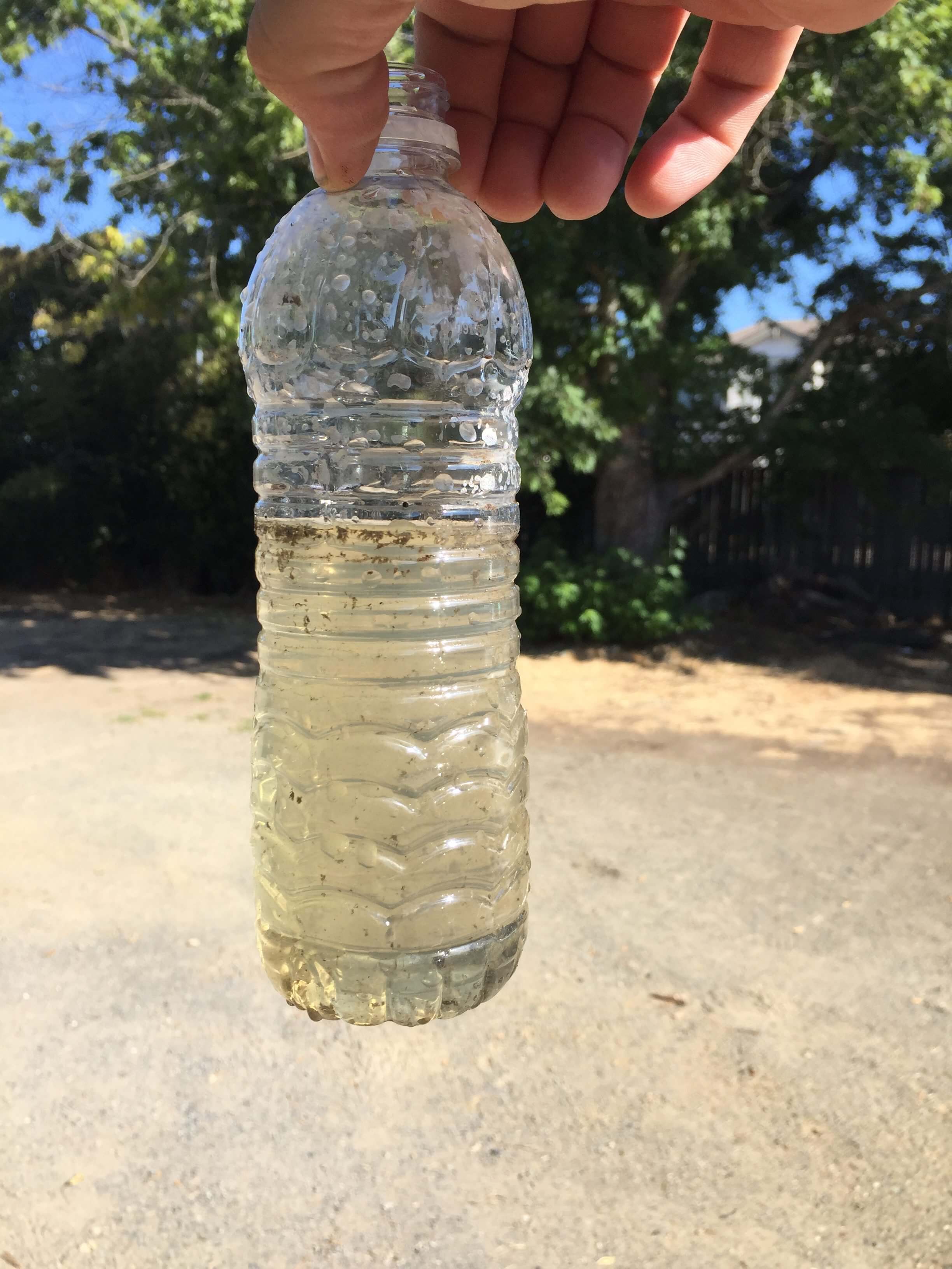 After 2 weeks with Septic Genie and SG Bacteria